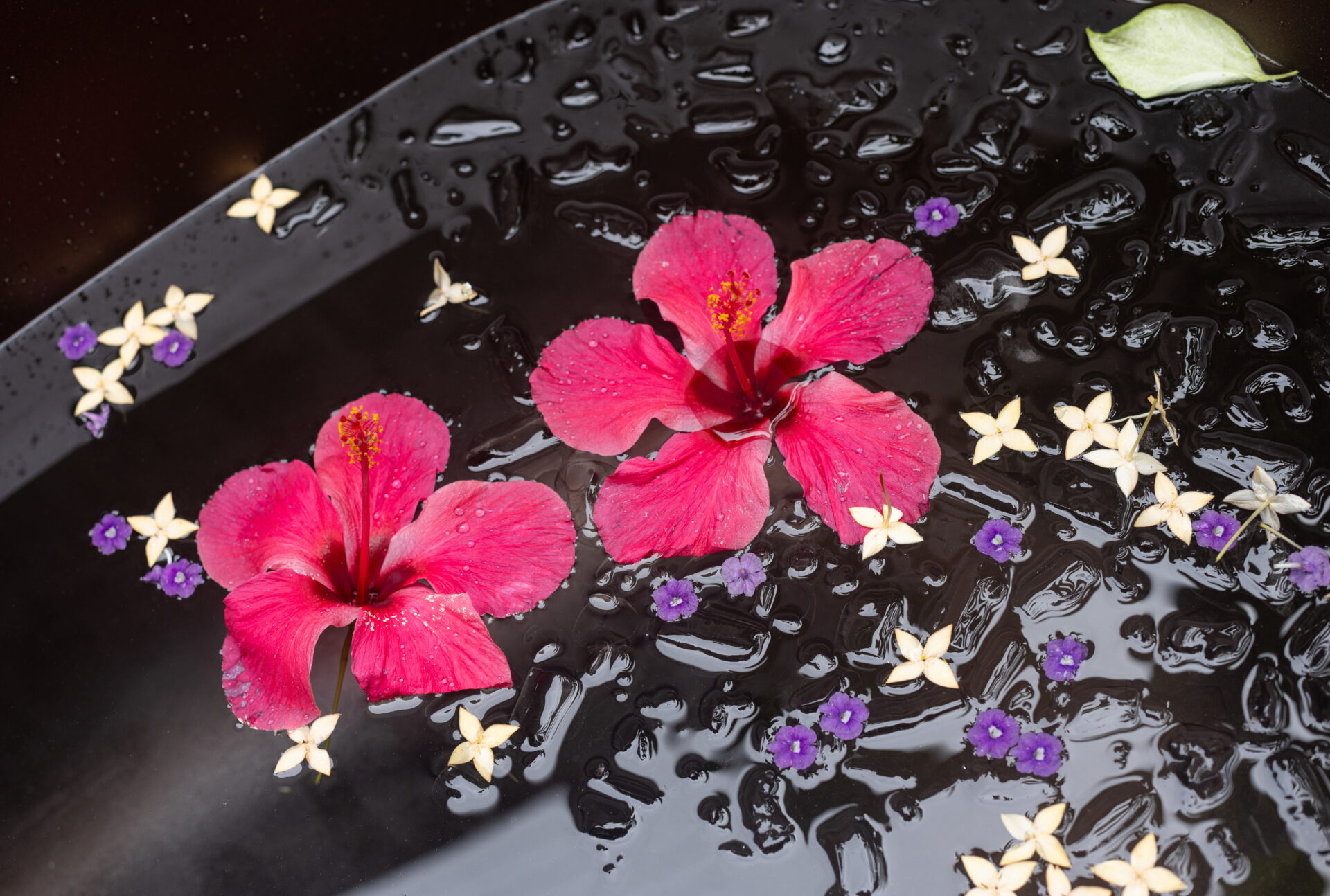 Usa Scapada para encontrar  ✪ rentas vacacionales en Santa Cruz - Provincia de Guanacaste,, p6