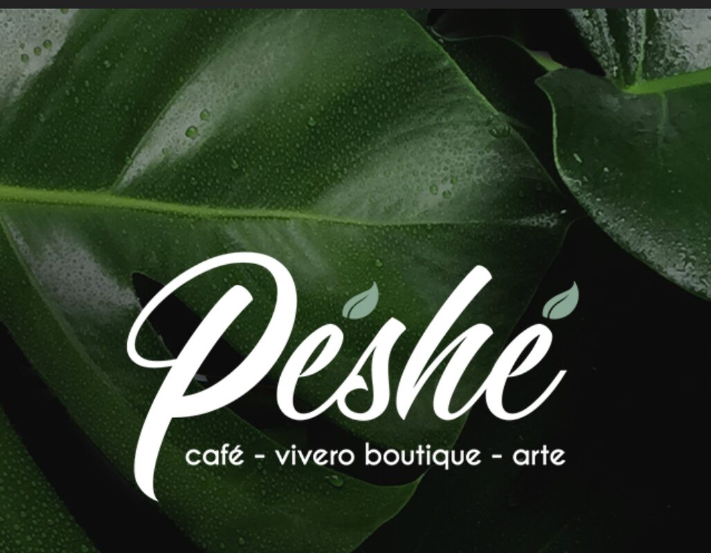 Usa Scapada para encontrar cafeterías, bares, restaurantes en General Salvador Alvarado, Ciudad de México