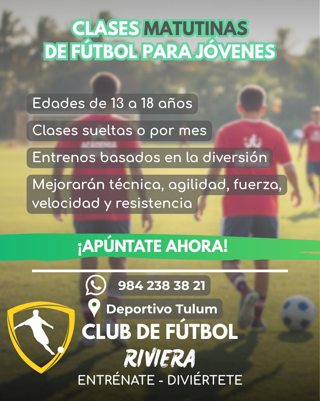 Usa Scapada para encontrar servicios generales en Tulum, Quintana Roo, p3